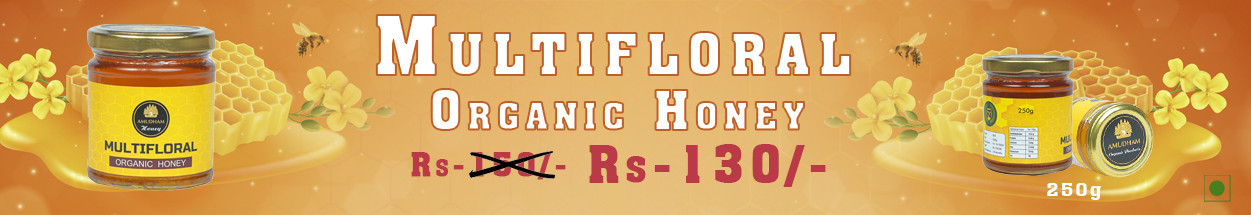 Nachiyaar Traders promo